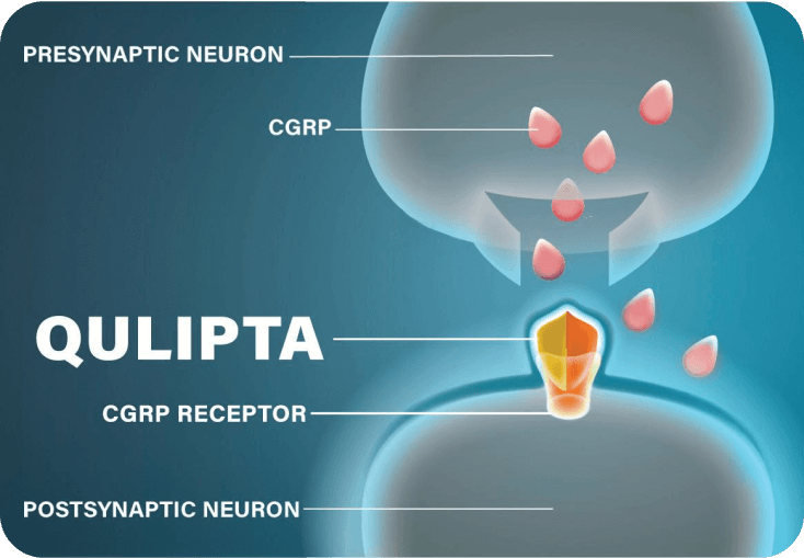Illustration of Qulipta directly targeting the CGRP receptor and blocking CGRP from binding.
